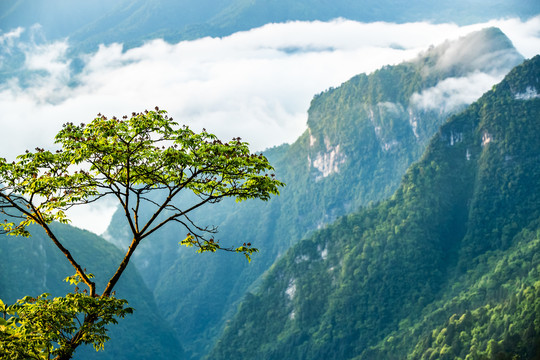 石门壶瓶山