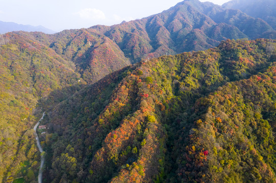 秦岭山秋景