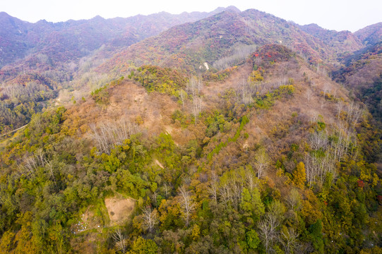 秦岭山秋景