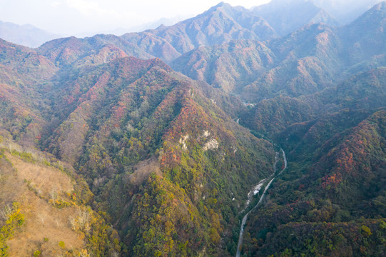 秦岭山秋色