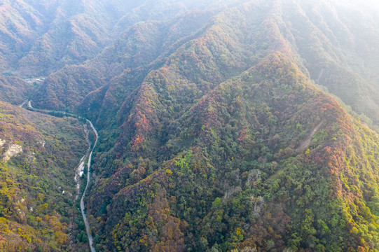 秦岭山秋色