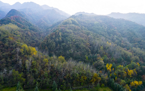 秦岭山秋景