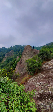 山顶风光