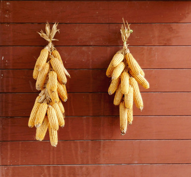 玉米装饰