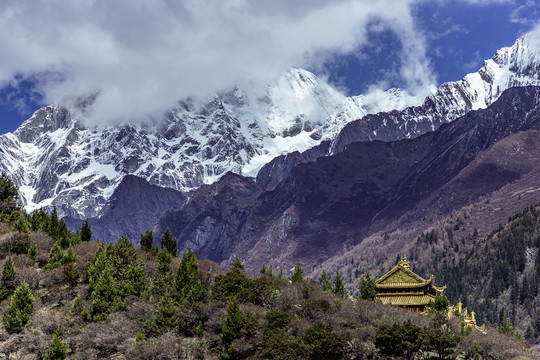 夹金山