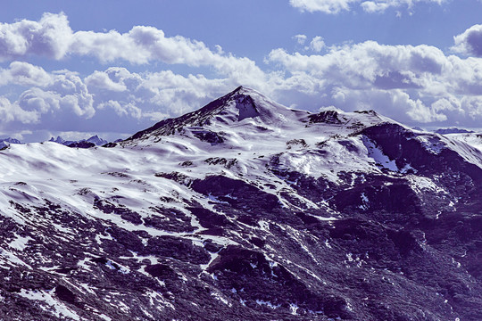 夹金山