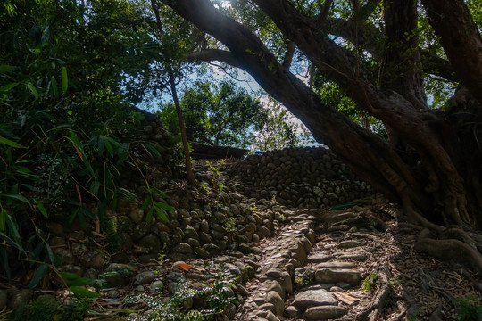 福州永泰榕水谣景区