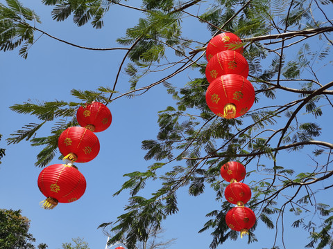 节日摄影