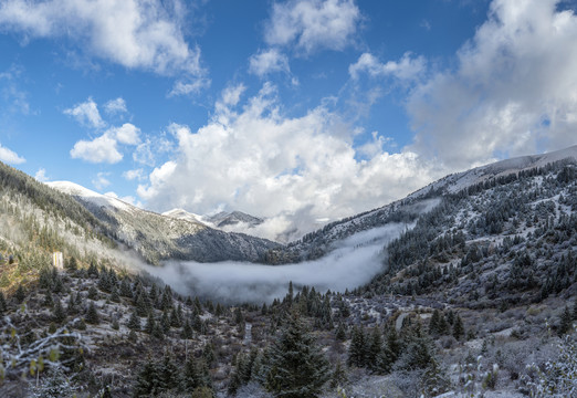 川西高原冬季雪景自然风光