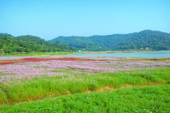 蝴蝶地生态花园