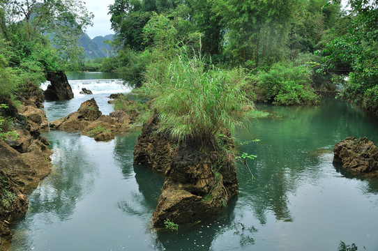 绿水青山