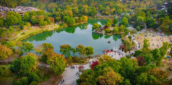 南山秋景