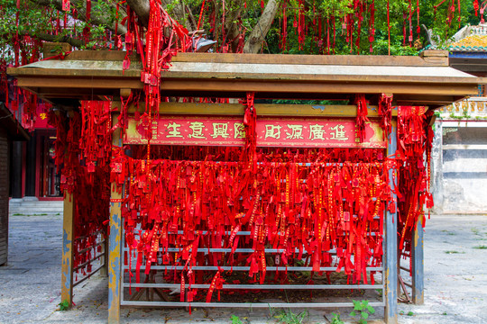 桂平西山风景名胜区许愿树