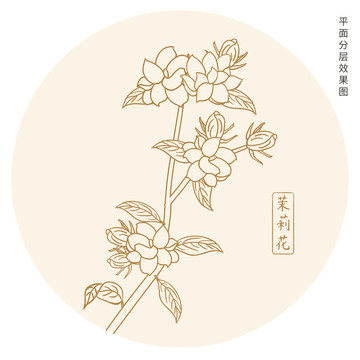 茉莉花线描