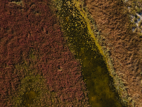 湿地秋色