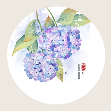 手繪水彩花卉之繡球花