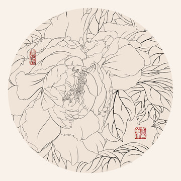 牡丹白描圆形