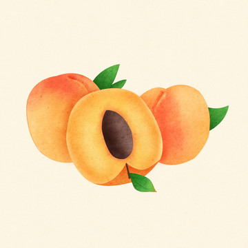 黃桃插畫