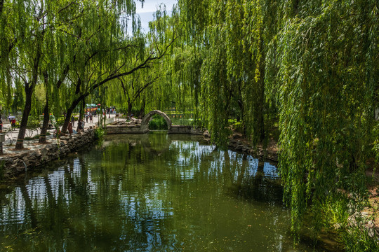 亚洲中国北京正觉寺