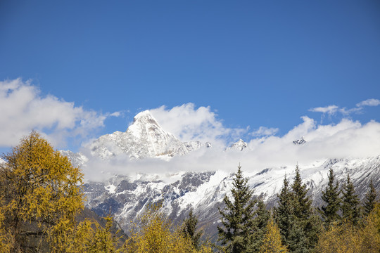 川西四姑娘山景区雪山