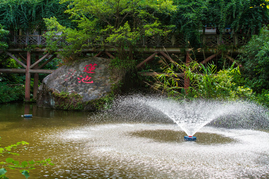 桂平西山风景名胜区莲池