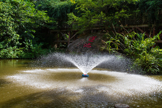 桂平西山风景名胜区莲池