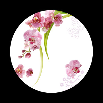 蘭花碟
