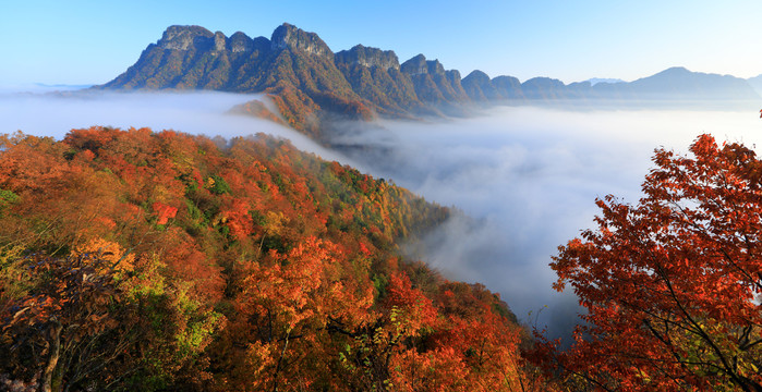 光雾山红叶