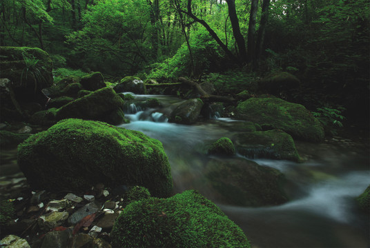 山泉溪流