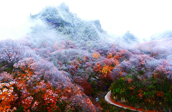 光雾山雪景