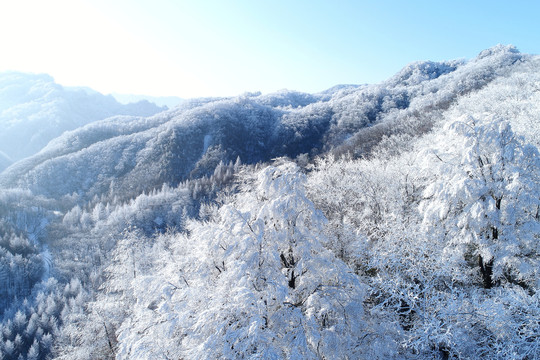 光雾山雪景