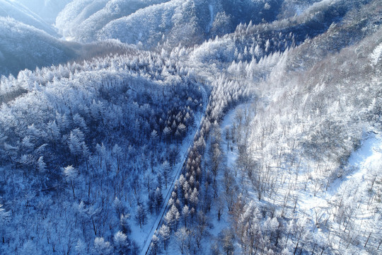 光雾山雪景