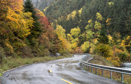 高原彩林公路素材