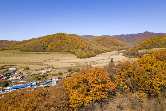 吉林市蛟河市秋景