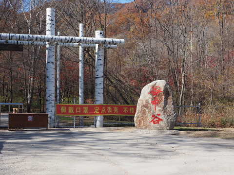 吉林蛟河红叶谷红叶景观