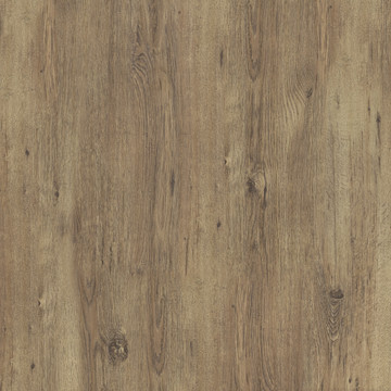 高清原木木头元素纹理素材