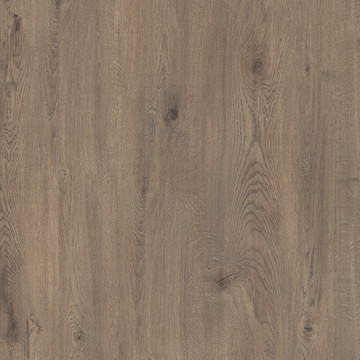 高清原木木头元素纹理素材