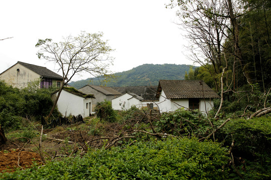 宁波慈溪方家河头村