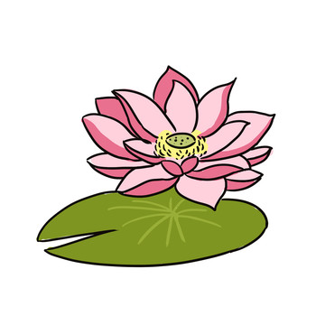 荷花手繪卡通元素