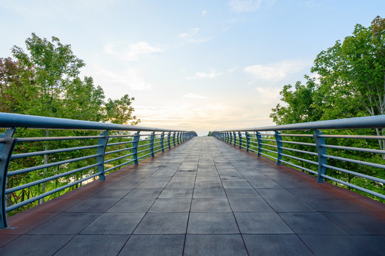中央公園