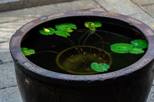 水缸