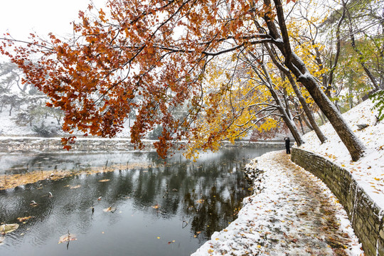 颐和园雪景