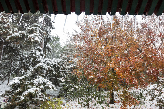 颐和园雪景