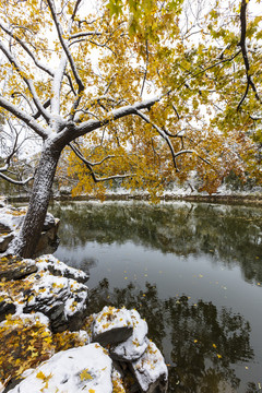 颐和园雪景