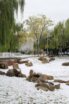 深秋冬天雪景公园