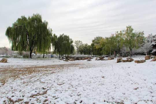 冬季雪景湿地公园