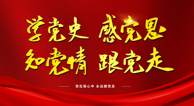 學黨史感黨恩知黨情跟黨走