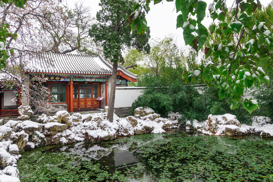 北京雪景