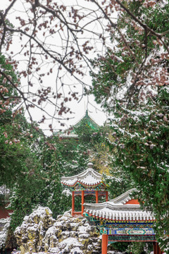 北京雪景