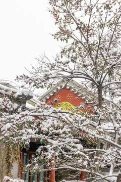 北京雪景